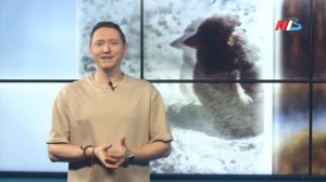 Чего нельзя делать волгоградцам 1 апреля ради собственного блага