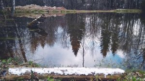 И.Крылов. Зеркало и обезьяна. Басня