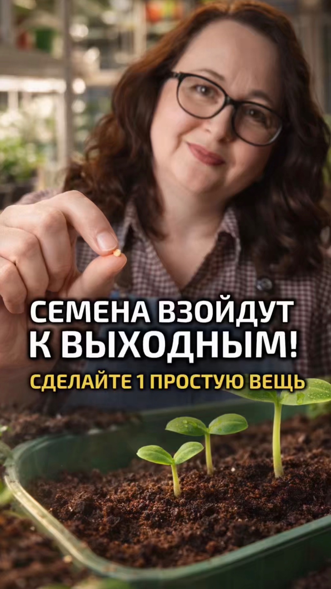 Семена взойдут к выходным!