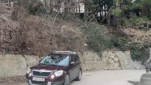 Ялта. Коммунаров, Сеченова, Ливадийская, Суворовская, Красноармейская ул. 07.03.26. Крым. Crimea. Ya