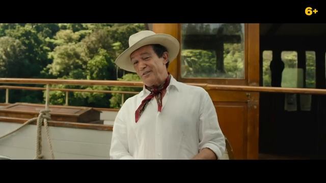 Приключения Паддингтона 3 2024