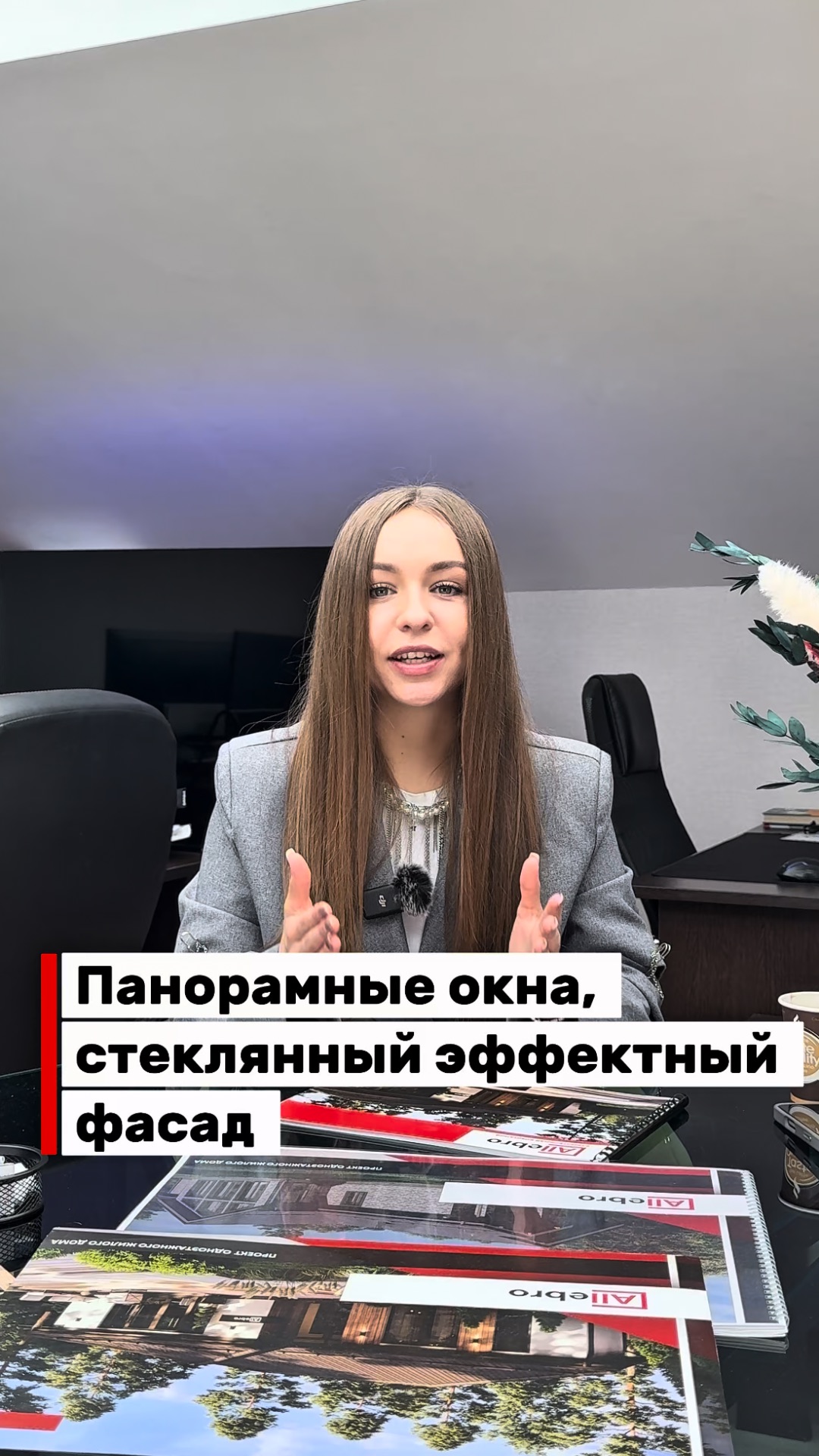 Панорамные окна