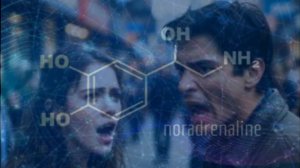 ГОРМОНЫ ПРАВЯТ НАМИ