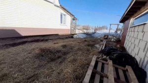 Вот моя деревня,вот мой дом родной.