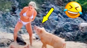 ✅ Я РЖАЛ ДО СЛЁЗ, СМЕШНЫЕ ПРИКОЛЫ 2026, СБОРНИК ПРИКОЛОВ, ЛУЧШИЕ ПРИКОЛЫ, С ДЕВУШКАМИ, С КОТАМИ