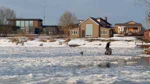 Со льда на актив