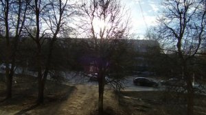 Вечернее пение птиц Распелись на все голоса