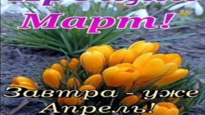 ПРОЩАЙ МАРТ!ВСЁ БУДЕТ ХОРОШО!