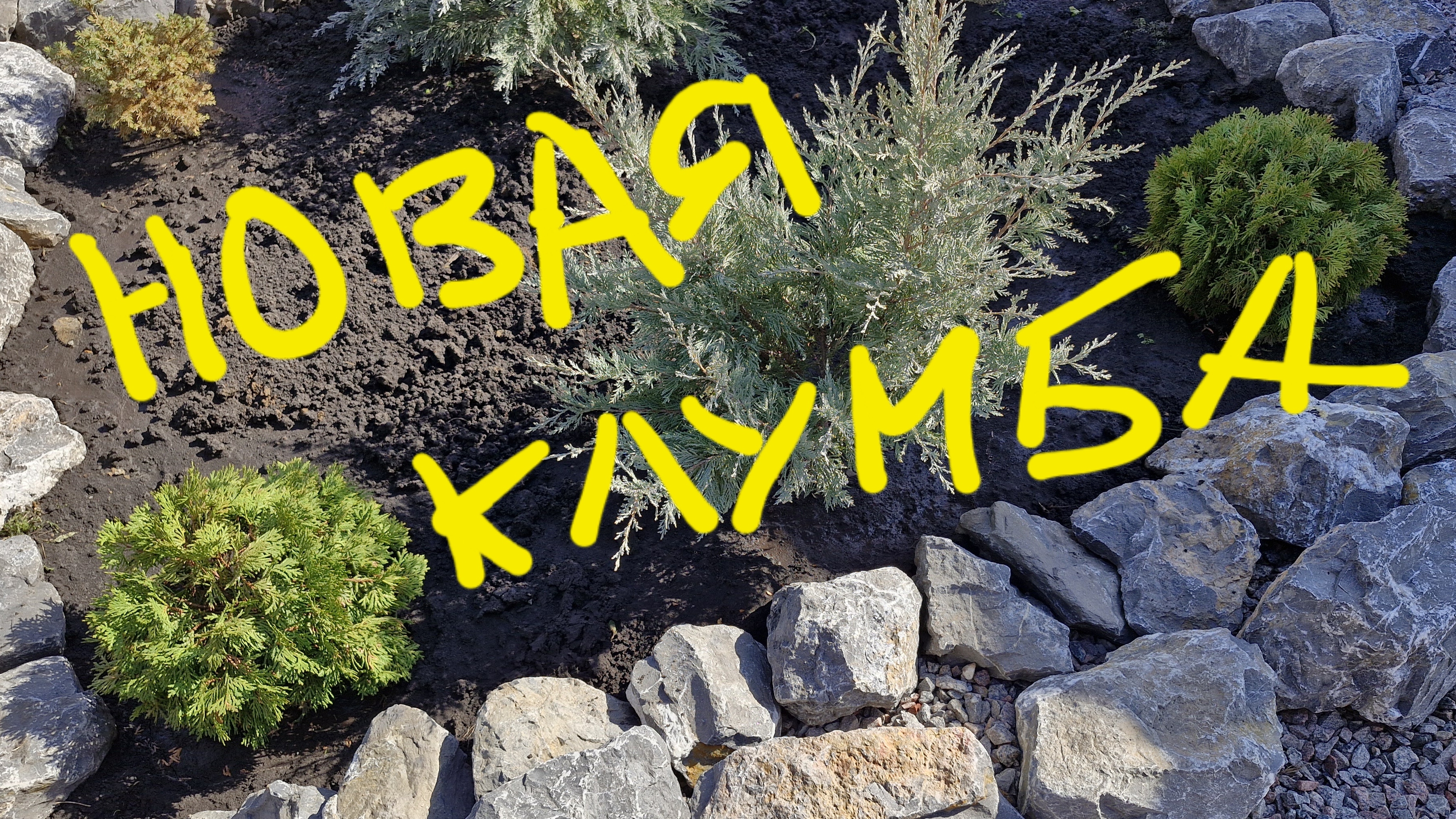 Новая клумба