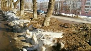 Это последний мартовский день