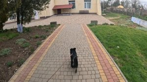 Губарева- СЕГОДНЯ ВЕСЬ ДЕНЬ ПОСВЯТИЛА ЛЕВОЧКЕ...