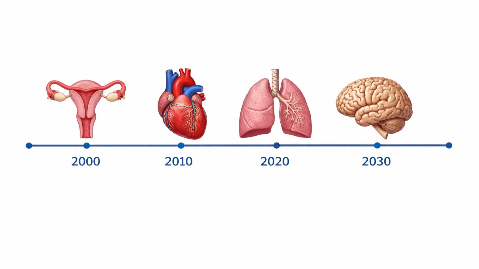 31.03.2026 Индивидуальная сессия Процесс трансформации через линию времени и внутренние органы