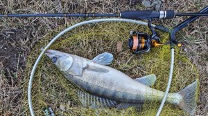 МР, набережная Шагала. МОСКВОРЕЦКИЙ СУДАРЬ