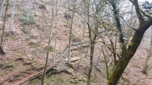 Роза Хутор, Тропа здоровья 31.03.26