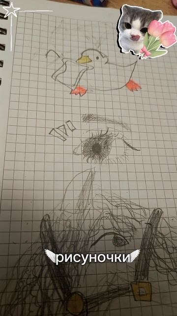 мои рисунки 🎨