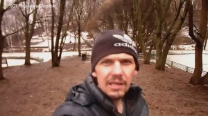 ПТИЧИЙ ПИР ВО ВРЕМЯ ДОЖДЯ ЧЕМ КОРМИТЬ СЕРЫХ ВОРОН