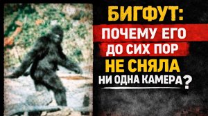 БИГФУТ: почему его до сих пор НЕ СНЯЛА ни одна камера?
