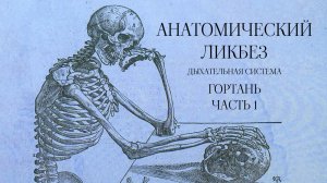 Анатомический ликбез - Дыхательная система. Гортань. Часть 1