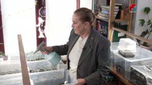 «Серебряный старт» помог йошкаролинке открыть собственное дело