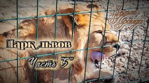 Зоопарк #Земля_Прайда. Парк Львов. Часть «5»