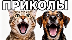 ПРИКОЛЬНЫЕ ВИДЕО | ПРИКОЛЫ С ЖИВОТНЫМИ | СМЕШНО ДО СЛЕЗ