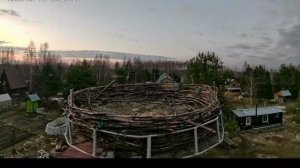 Гнездо аистов СНТ Колос