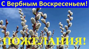 С Вербным воскресеньем поздравления! Волшебный праздник приходит!