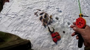 Рыбалка за полярным кругом