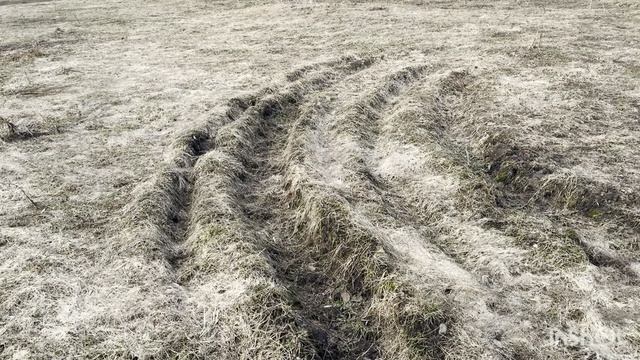 Уборка у мамы. Соня путешественница. Спонтанный рецепт кулича