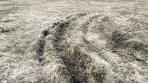 Уборка у мамы. Соня путешественница. Спонтанный рецепт кулича