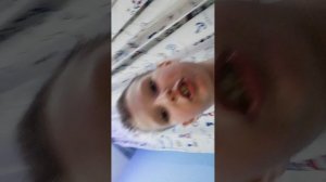 Дина и монстриксы