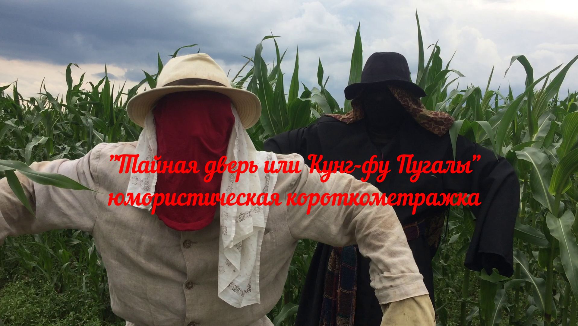 "Тайная дверь или Кунг-фу пугалы".  Юмористическая  Короткометражка