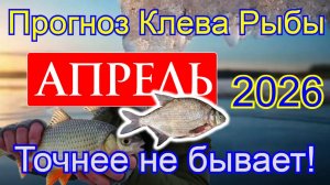 Прогноз клева рыбы на АПРЕЛЬ 2026 года. Лунный календарь рыбака. Календарь рыбака на АПРЕЛЬ 2026