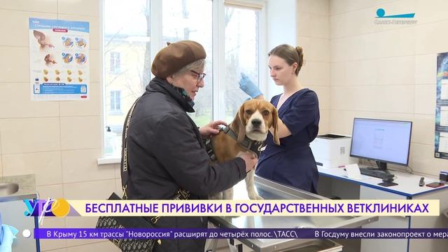 Бесплатные прививки для домашних любимцев в Петербурге