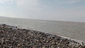 Привет из Ейска ☀️Дружба это хорошо 👯 На берег моря выбросило рыбу🐟