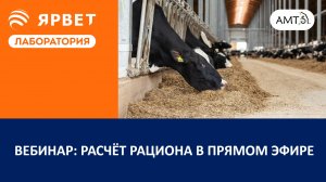 Вебинар: расчёт рационов для КРС в прямом эфире