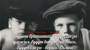 Дворовая песня — «Лягушка»