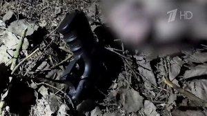 Сотрудники ФСБ предотвратили теракт на оборонном предприятии в Московской области.