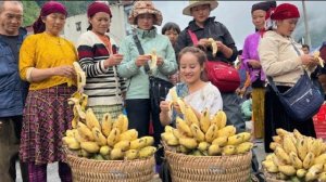 Собираю баклажаны и бананы для продажи на высокогорном рынке. Энн. Жизнь во Вьетнаме