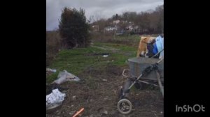 Катя Сочи. Аня ревнует к хозяйке Санька