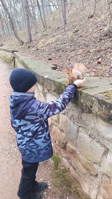 кормлю белку