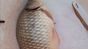 ОХОТНИК НА ВЕСЕННЕГО КАРАСЯ 2026 год