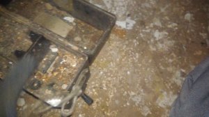 жилище хранителя АТС сталк за радиодеталями