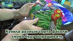 Обзор покупок с маркетплейсов: какао-порошок, карамель (микс из 7 вкусов), семена фасоли, пеларгонии