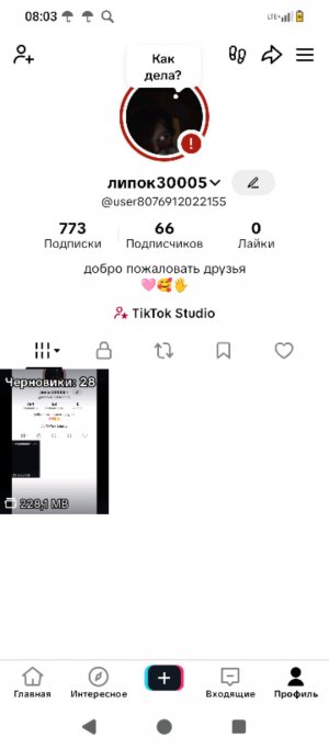 прятки с Максом