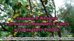 Садовод В.Железов в отчаянии обращается к Богу и Президенту России.