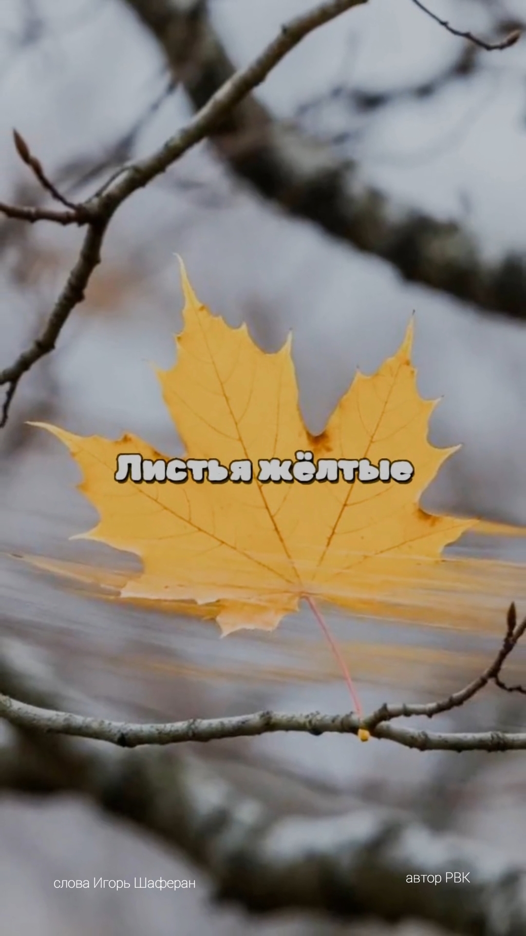 Листья жëлтые