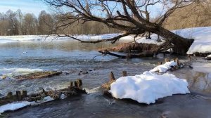 Речка Молохта в марте в селе Введеньё
