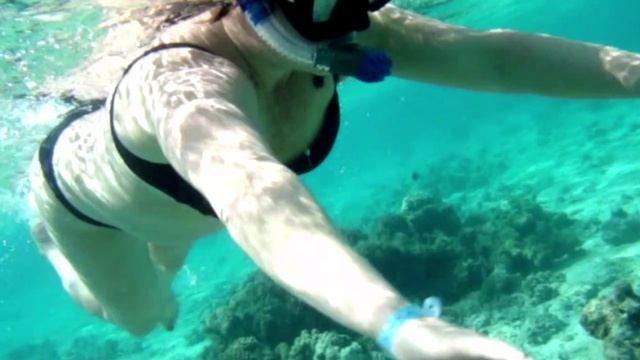 Живность Красного моря 2.Египет. Хургада. 2012, октябрь. Отель Zahabia Resort &