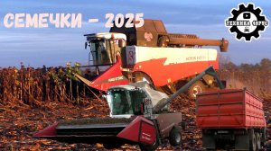 Нова 340, Акрос 595+, Полесье ГС 12 и МТЗ-1523 с катками на уборке семечек. Уборочная - 2025